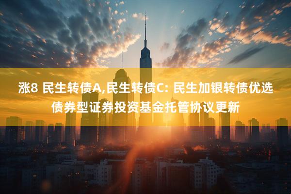 涨8 民生转债A,民生转债C: 民生加银转债优选债券型证券投资基金托管协议更新