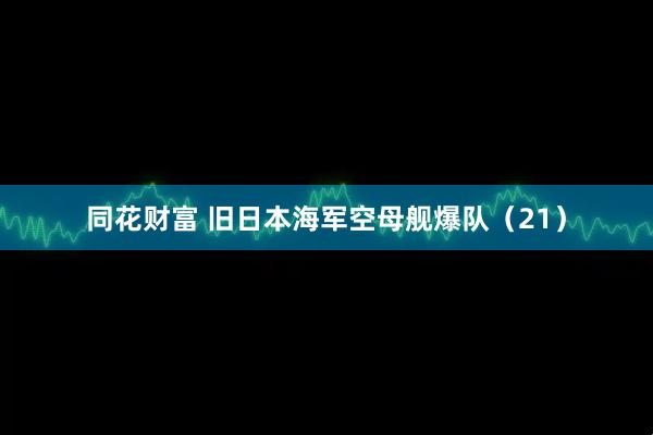 同花财富 旧日本海军空母舰爆队（21）