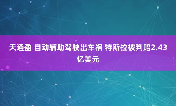 天通盈 自动辅助驾驶出车祸 特斯拉被判赔2.43亿美元