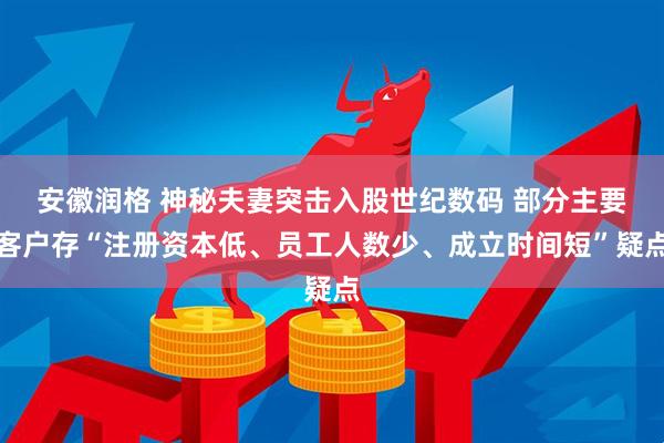 安徽润格 神秘夫妻突击入股世纪数码 部分主要客户存“注册资本低、员工人数少、成立时间短”疑点