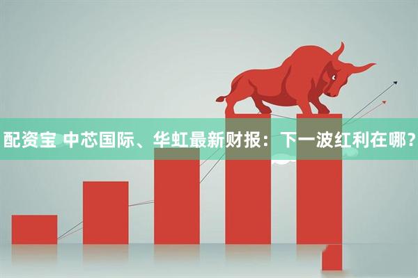 配资宝 中芯国际、华虹最新财报：下一波红利在哪？