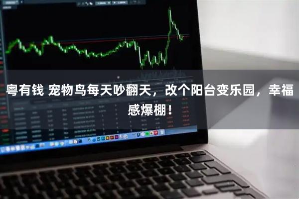 粤有钱 宠物鸟每天吵翻天，改个阳台变乐园，幸福感爆棚！