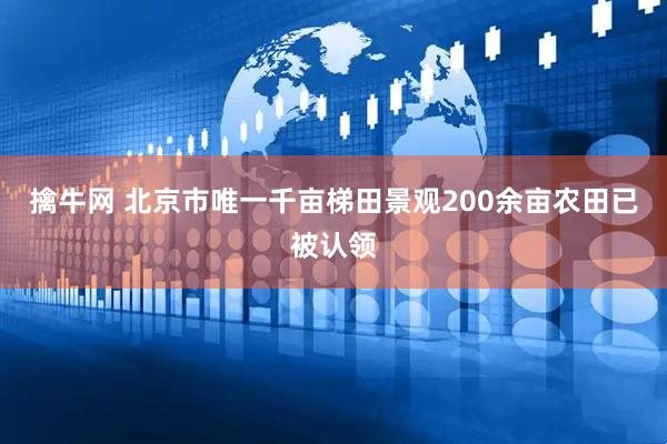 擒牛网 北京市唯一千亩梯田景观200余亩农田已被认领