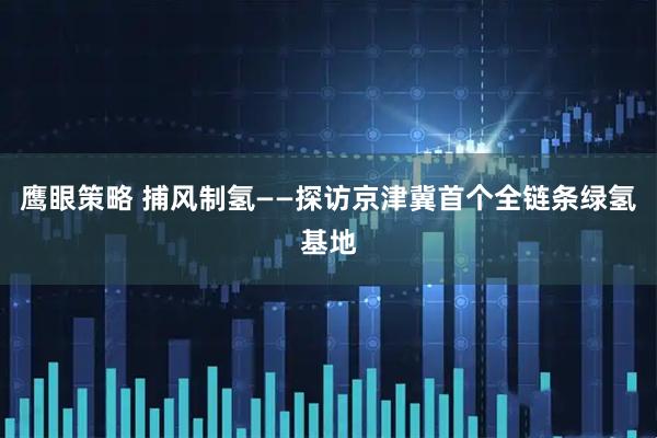 鹰眼策略 捕风制氢——探访京津冀首个全链条绿氢基地