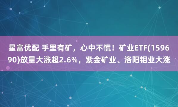 星富优配 手里有矿，心中不慌！矿业ETF(159690)放量大涨超2.6%，紫金矿业、洛阳钼业大涨